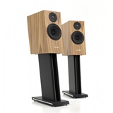 Pylon Audio Jasper Monitor 18 active